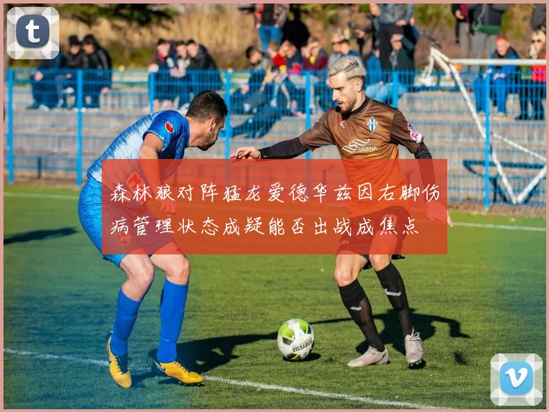 森林狼对阵猛龙爱德华兹因右脚伤病管理状态成疑能否出战成焦点