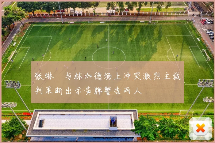 张琳芃与林加德场上冲突激烈主裁判果断出示黄牌警告两人