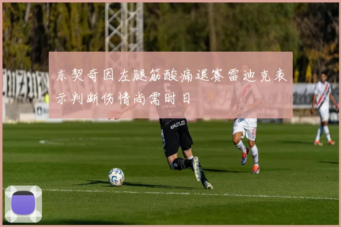 东契奇因左腿筋酸痛退赛雷迪克表示判断伤情尚需时日