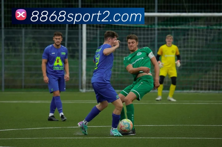 8868体育平台生态图