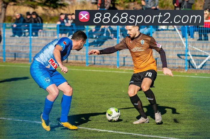 8868体育APP 封面图